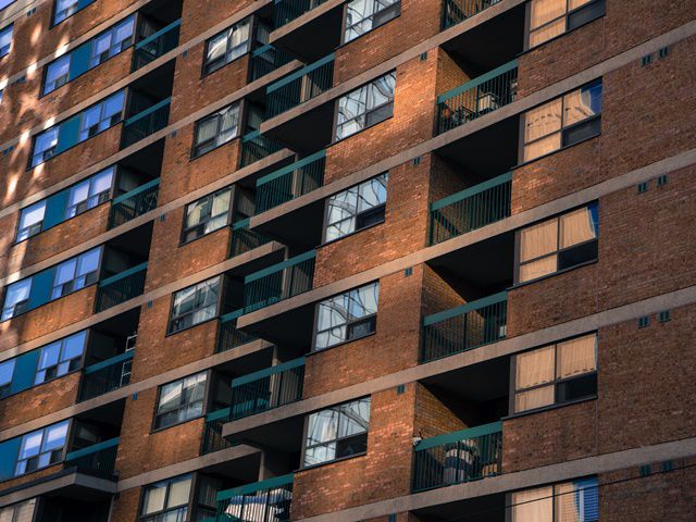 越前市に息づく平屋と地域文化が奏でる暮らしの温もりと美しいまちの風景