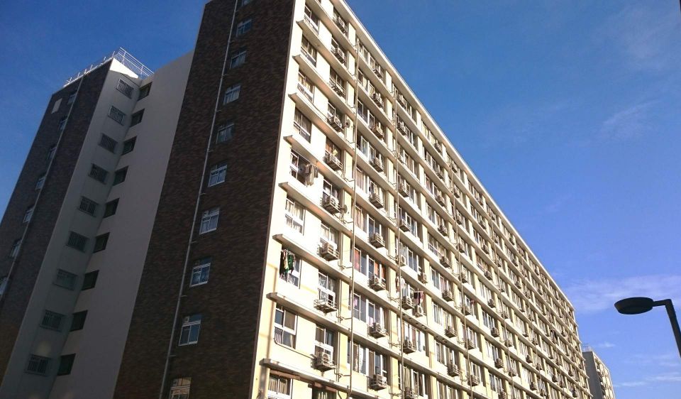 野々市市で二階建てはもう古いあなたの知らない平屋旋風と住宅格差の真実